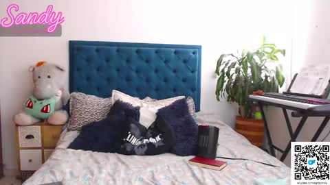 Sandy Prinss online show from 04.15.26