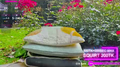 Snapshot of sansa_staark chatting on 10.17.25 sansa_staark online show from 10.17.25