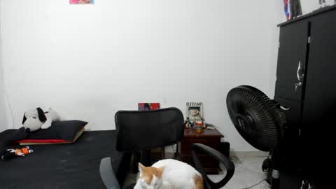 Snapshot of santiceballo chatting on 07.17.26 Julius Novachrono online show from 07.17.26