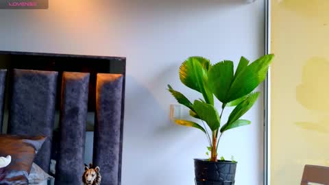 Santiago Seans online show from 02.12.26