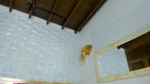 Snapshot of sara_collinnss chatting on 01.24.25 Sara Collins online show from 01.24.25