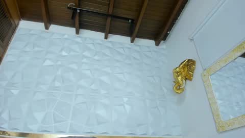 Snapshot of sara_collinnss chatting on 01.28.25 Sara Collins online show from 01.28.25