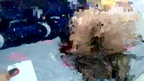 Sara love online show from 02.02.25