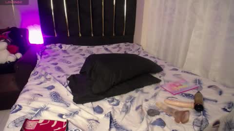 Snapshot of saraa_li chatting on 02.21.26 saraa_li online show from 02.21.26