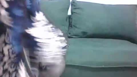 Snapshot of sarah_haggai chatting on 11.04.25 sarah_haggai online show from 11.04.25