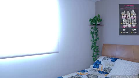 Snapshot of sarah_rayy chatting on 10.29.25 sarah_rayy online show from 10.29.25