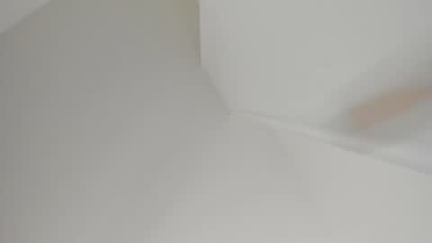   online show from 02.04.25