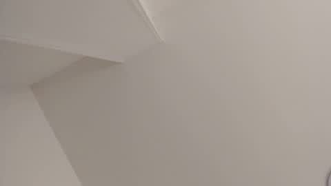   online show from 02.11.25