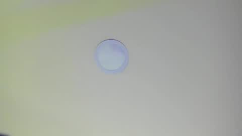   online show from 02.21.25