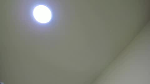   online show from 02.24.25