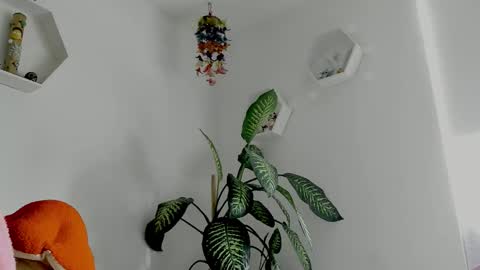 Snapshot of saray2312 chatting on 02.02.26 Saray online show from 02.02.26