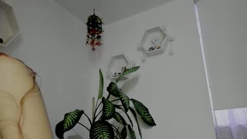 Snapshot of saray2312 chatting on 02.05.26 Saray online show from 02.05.26