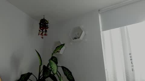 Snapshot of saray2312 chatting on 02.06.26 Saray online show from 02.06.26