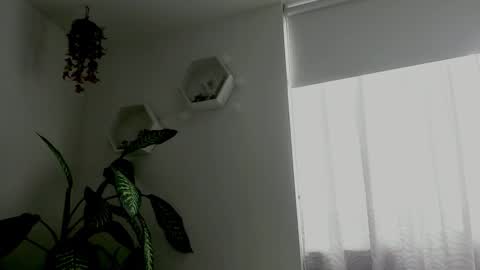 Snapshot of saray2312 chatting on 02.09.26 Saray online show from 02.09.26