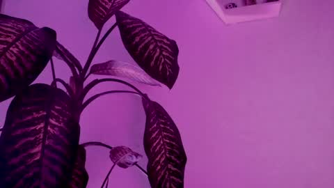 Saray  online show from 03.24.26