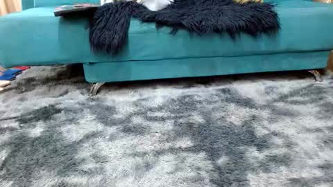 Snapshot of sarita_klein chatting on 11.08.25 sarita_klein online show from 11.08.25