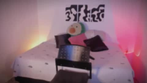 Snapshot of sarrah_3 chatting on 11.25.25 Sara online show from 11.25.25