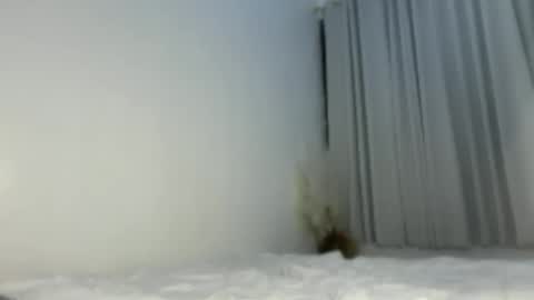Snapshot of sassykayla chatting on 05.15.26 sassykayla online show from 05.15.26