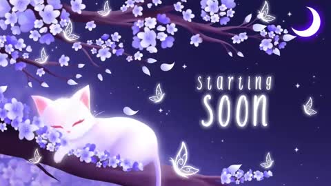 Snapshot of sassykittyn chatting on 11.03.25 Sassy Sami Kittyn online show from 11.03.25