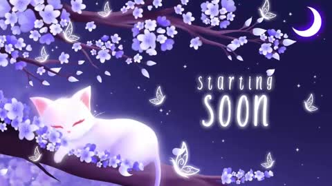 Snapshot of sassykittyn chatting on 11.04.25 Sassy Sami Kittyn online show from 11.04.25