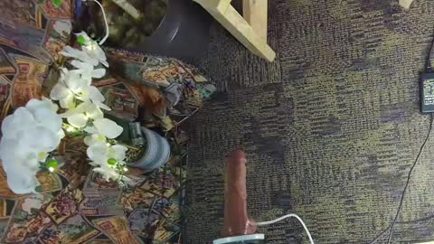 sassylatin45 online show from 03.02.25