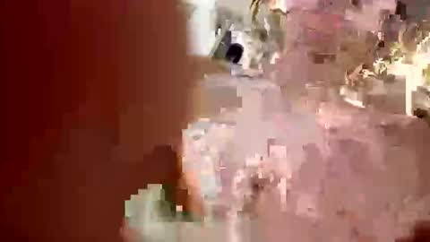 Snapshot of sassysquirtsmmm chatting on 12.20.25 sassysquirtsmmm online show from 12.20.25