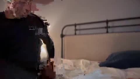 sbsdbfs online show from 11.18.25