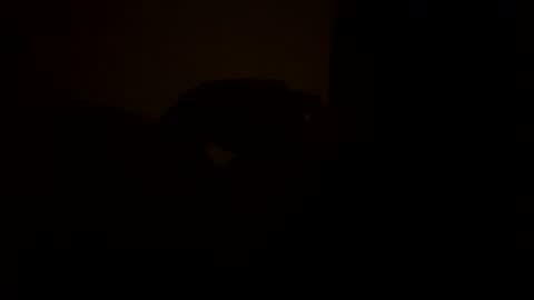 sc377003 online show from 03.11.25