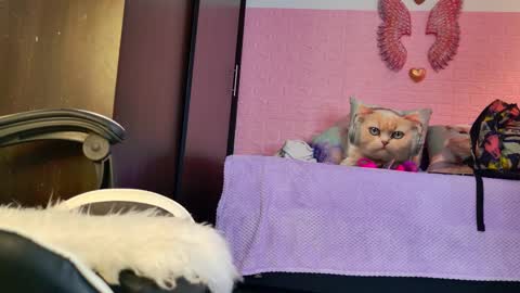 scarlett_099 online show from 09.19.25