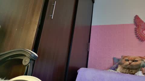scarlett_099 online show from 09.25.25