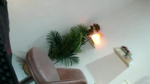   online show from 07.06.26
