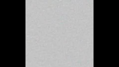 Scolw  online show from 12.19.25