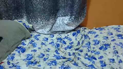 Its Lilly online show from 01.24.25