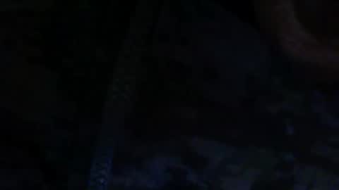 Snapshot of scott01092463171 chatting on 11.13.25 Goth witch69 online show from 11.13.25