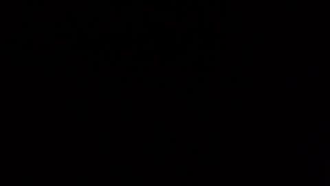 scottdior online show from 10.19.25