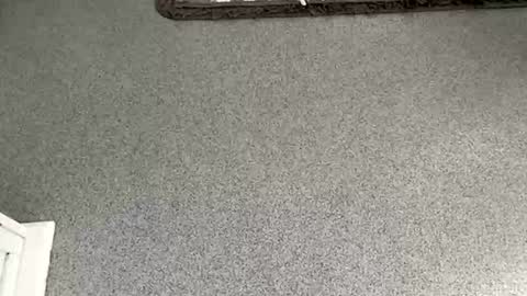 Snapshot of scottyc48 chatting on 11.08.25 scottyc48 online show from 11.08.25