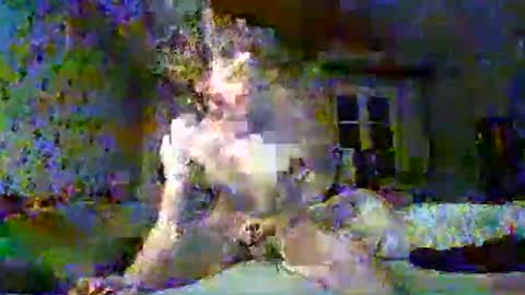 scratt67 online show from 11.22.25