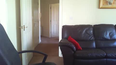 seakrait online show from 03.19.26