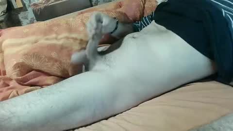 seb online show from 02.05.25