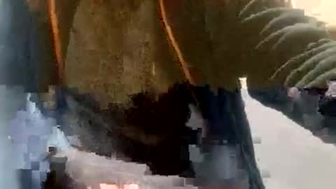 sebtin1979 online show from 02.23.26