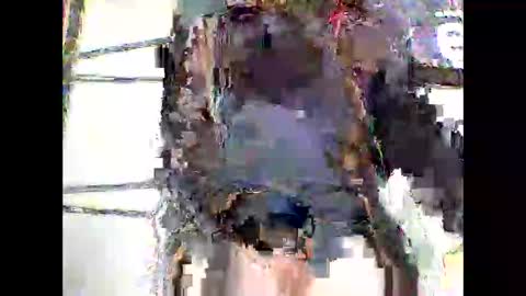 sebtin1979 online show from 05.18.26