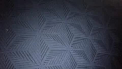 Snapshot of secret18slaveanon chatting on 01.31.26 Sunny online show from 01.31.26