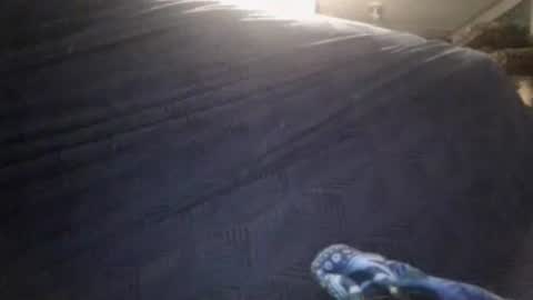 Snapshot of secret18slaveanon chatting on 02.24.26 Sunny online show from 02.24.26