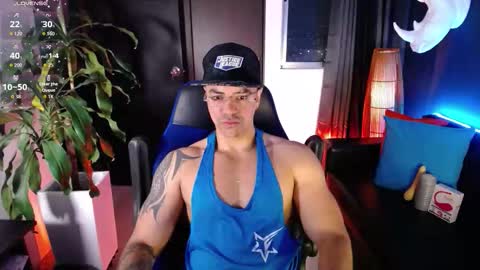 sed online show from 11.14.25