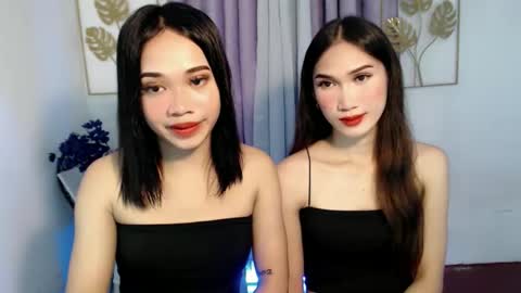 your miss universe kim online show from 11.25.25