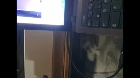 segaiolo21cm online show from 04.13.26