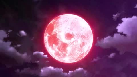 Selene G  online show from 01.07.26