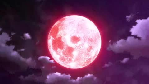 Selene G  online show from 03.26.26