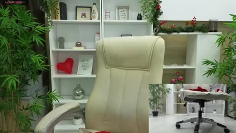 Seline online show from 12.12.24