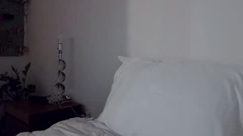 Cam online show from 11.29.25